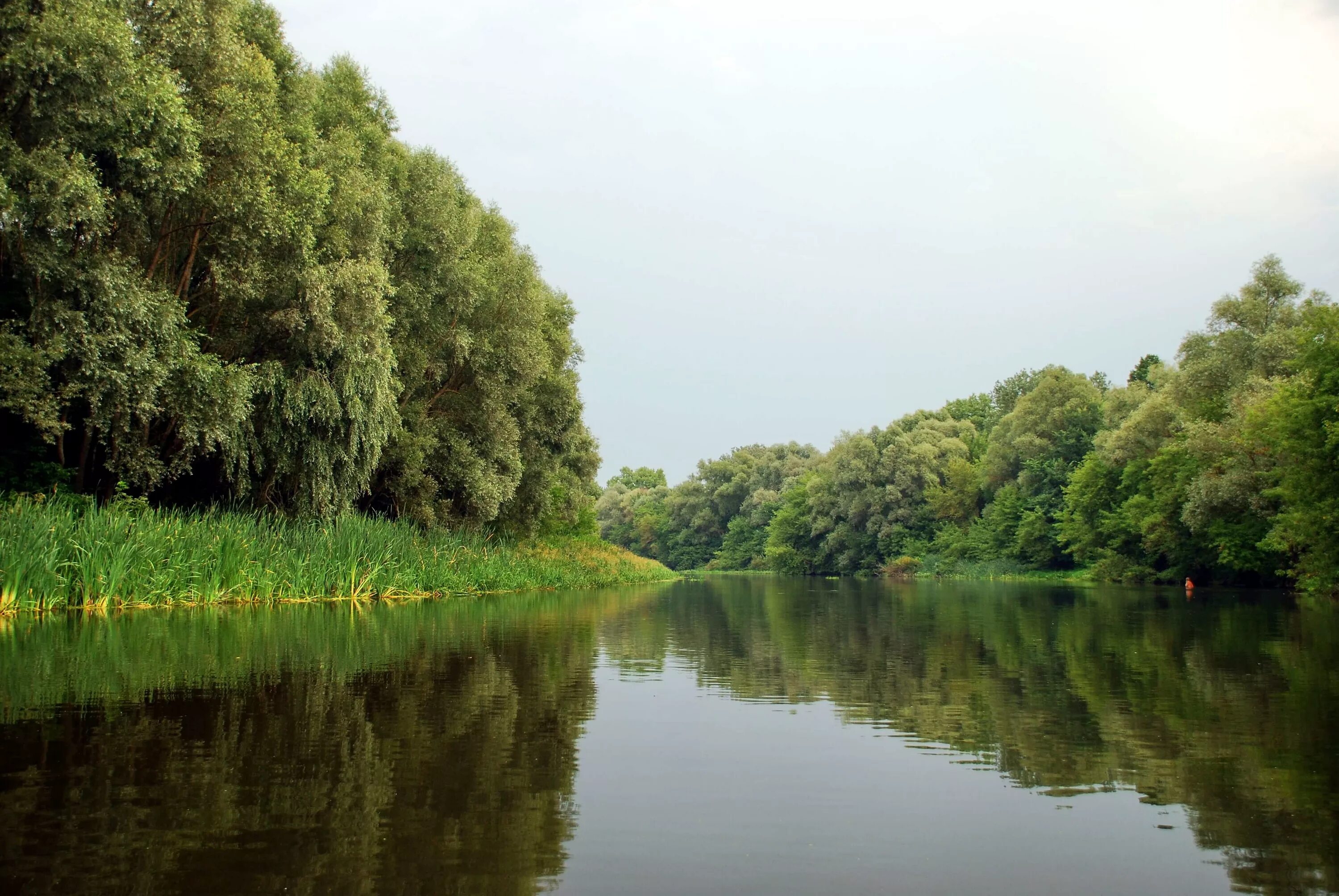 Река псел фото he Pshel River in July 2008 Sumy - Gadyach