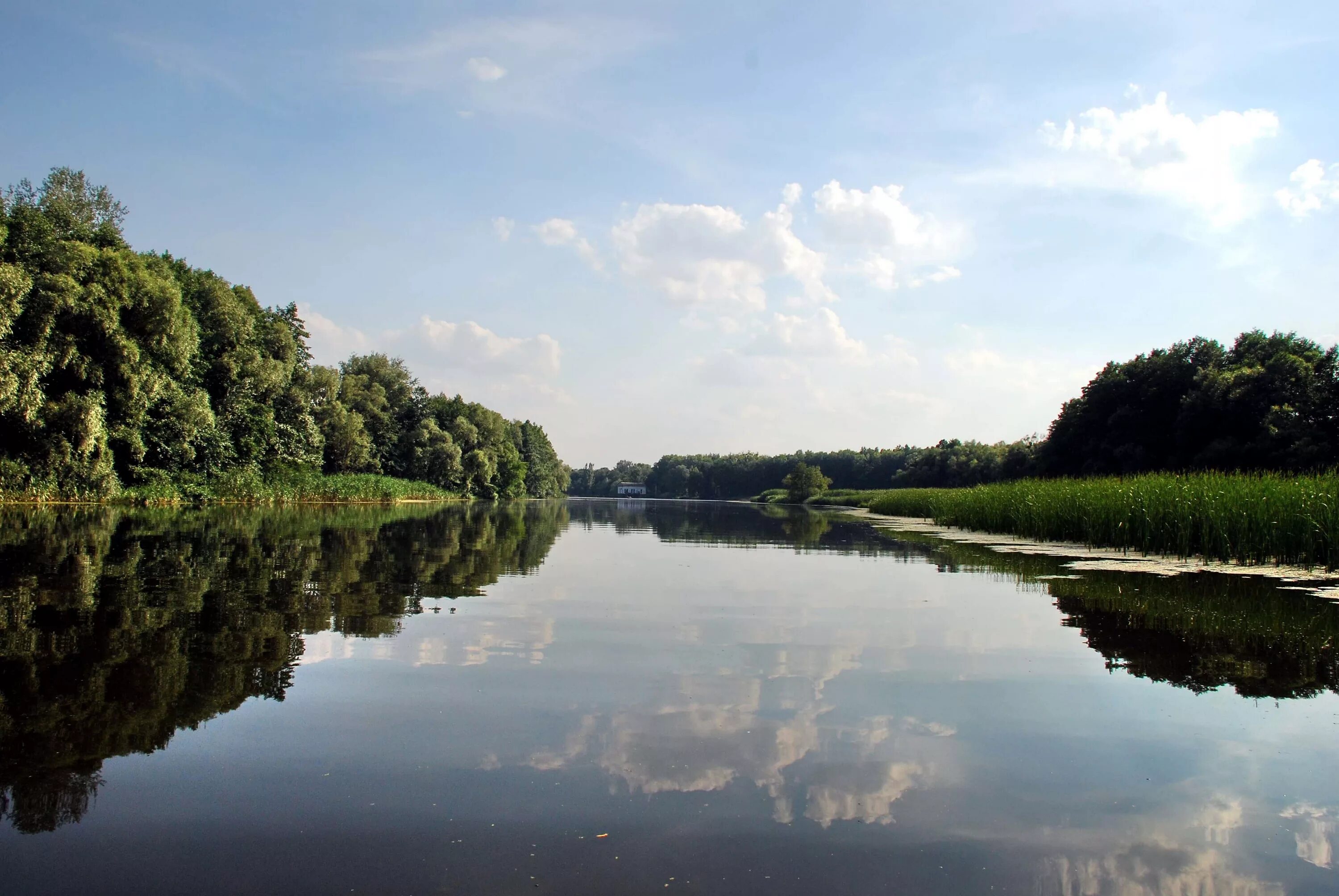 Река псел фото he Pshel River in July 2008 Sumy - Gadyach