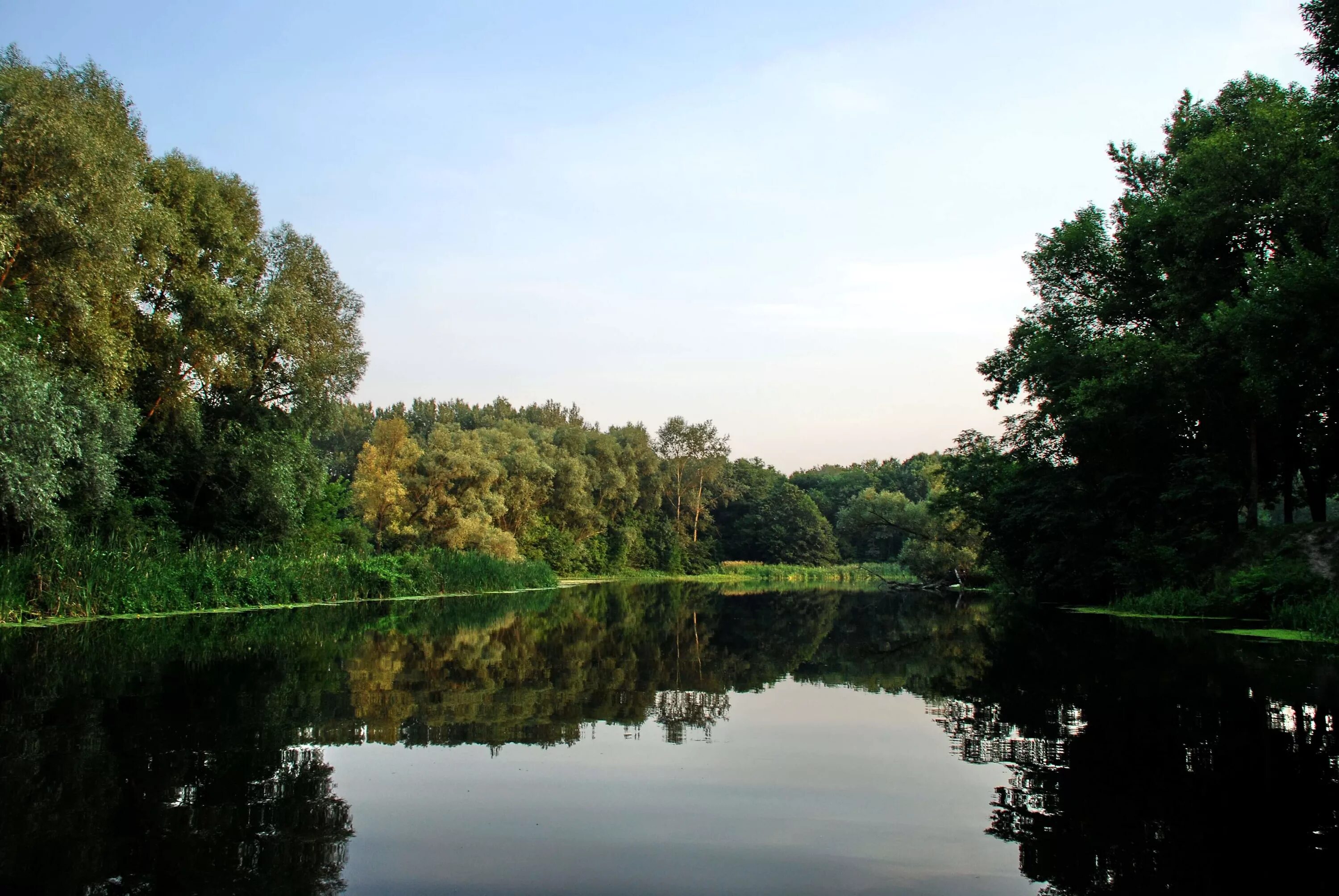 Река псел фото he Pshel River in July 2008 Sumy - Gadyach