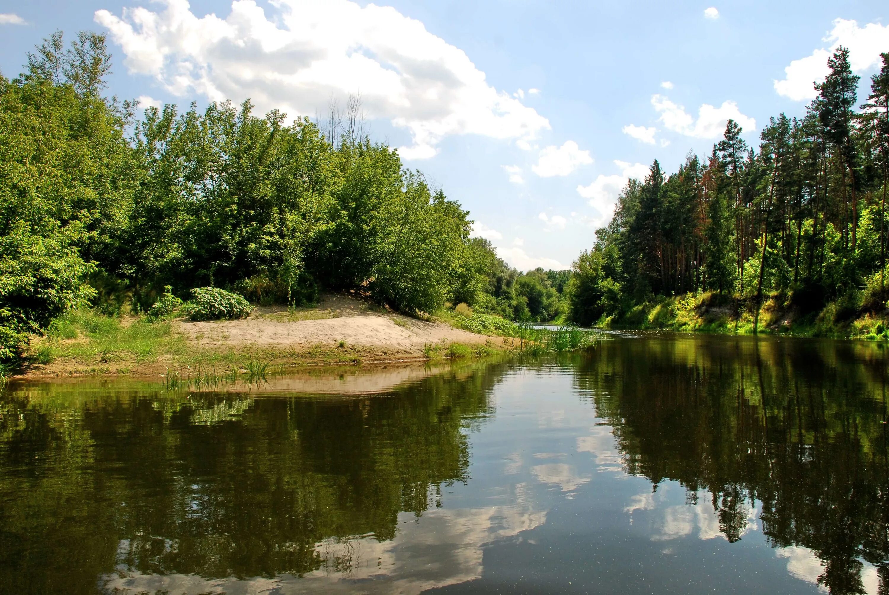 Река псел фото he Pshel River in July 2008 Sumy - Gadyach