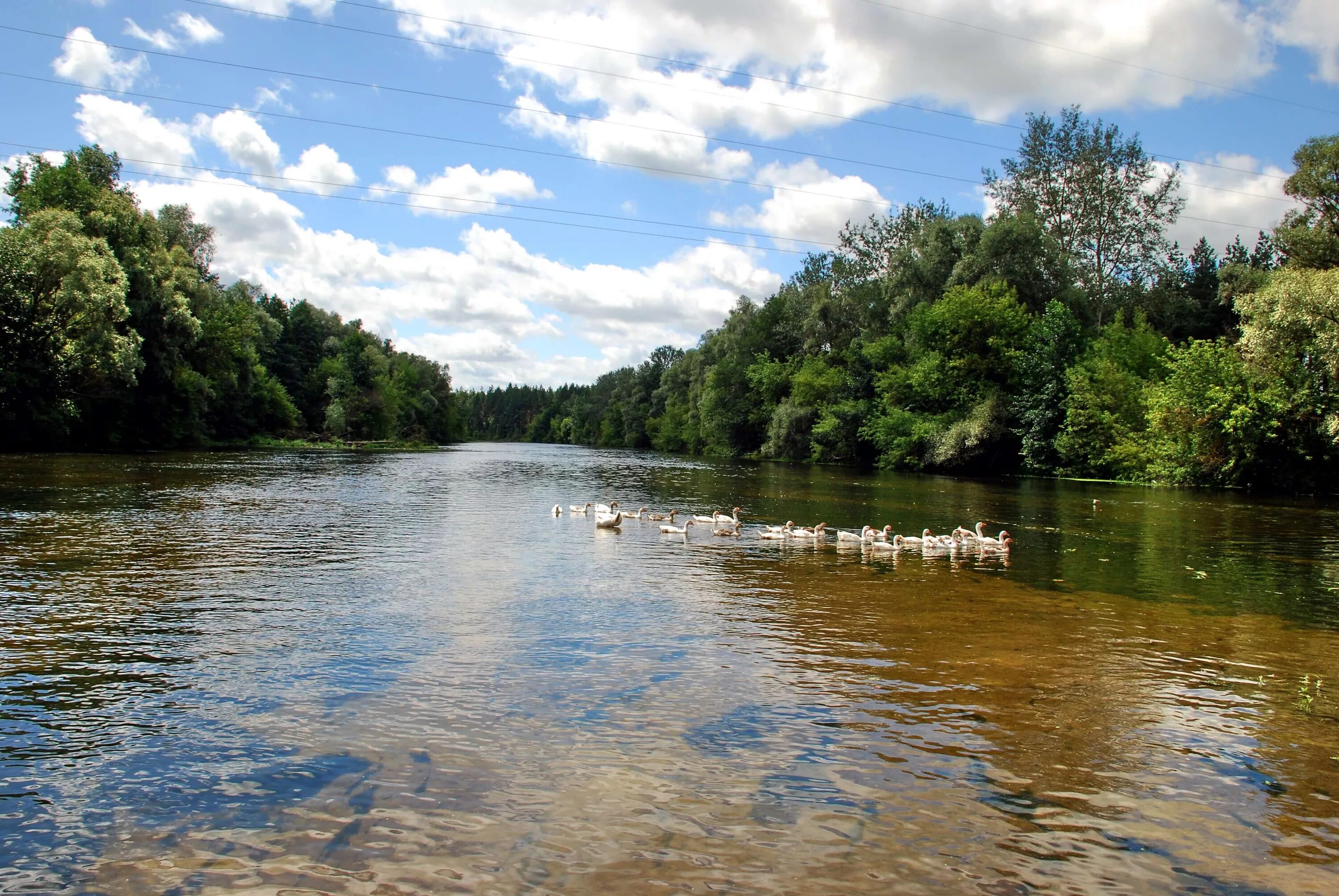 Река псел фото he Pshel River in July 2008 Sumy - Gadyach