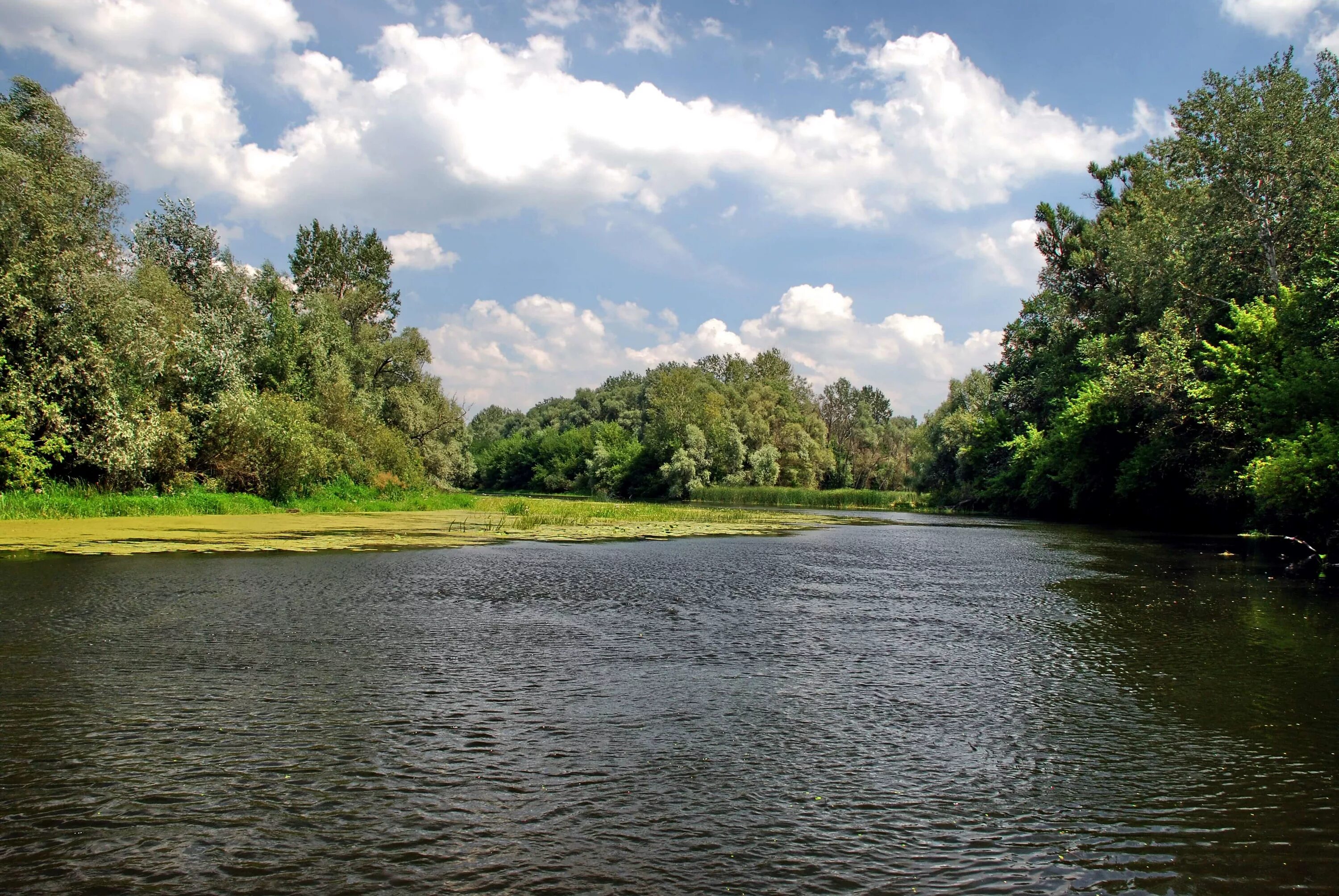 Река псел фото he Pshel River in July 2008 Sumy - Gadyach