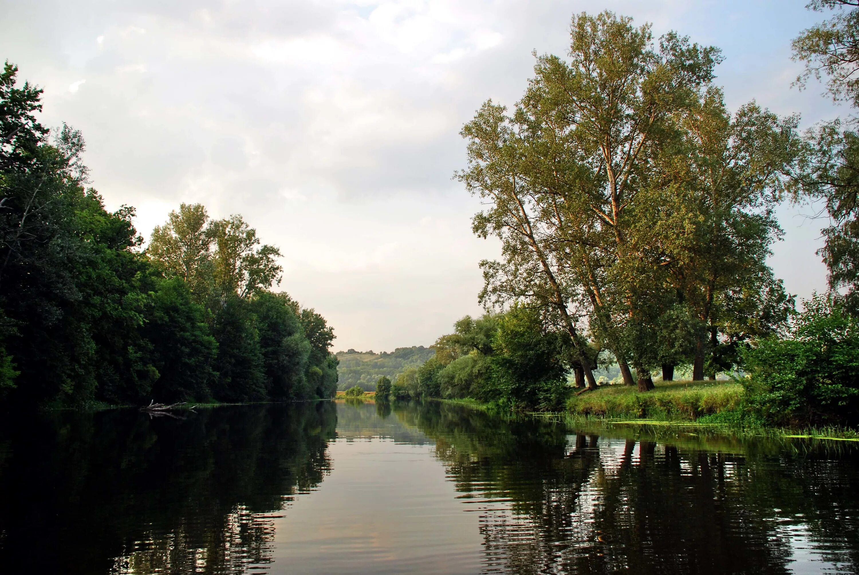 Река псел фото he Pshel River in July 2008 Sumy - Gadyach