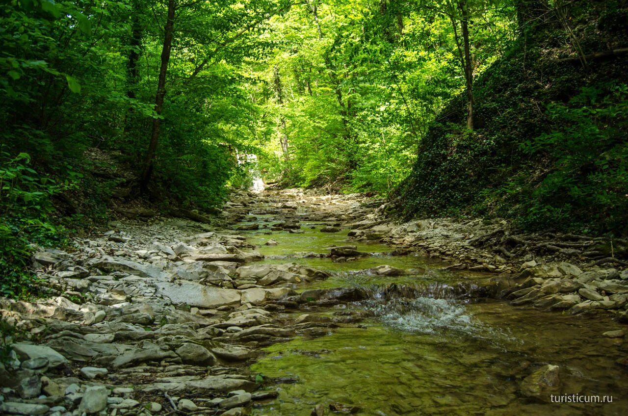 Река пшада фото Пшадские водопады и дольмены в долине реки Пшада