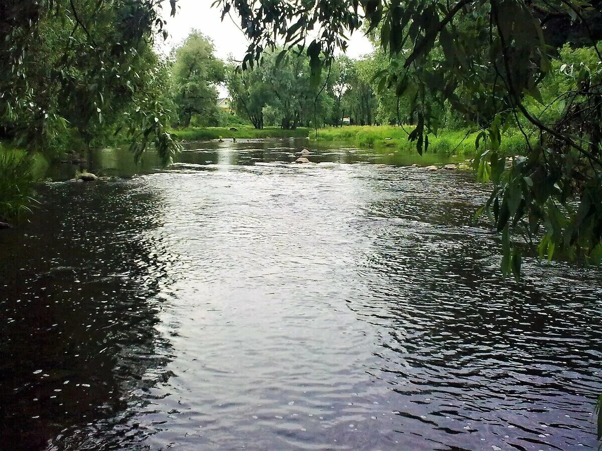 Река псковской области фото Великая и Пскова - главные реки города Пскова Благородные простаки против Глюкол