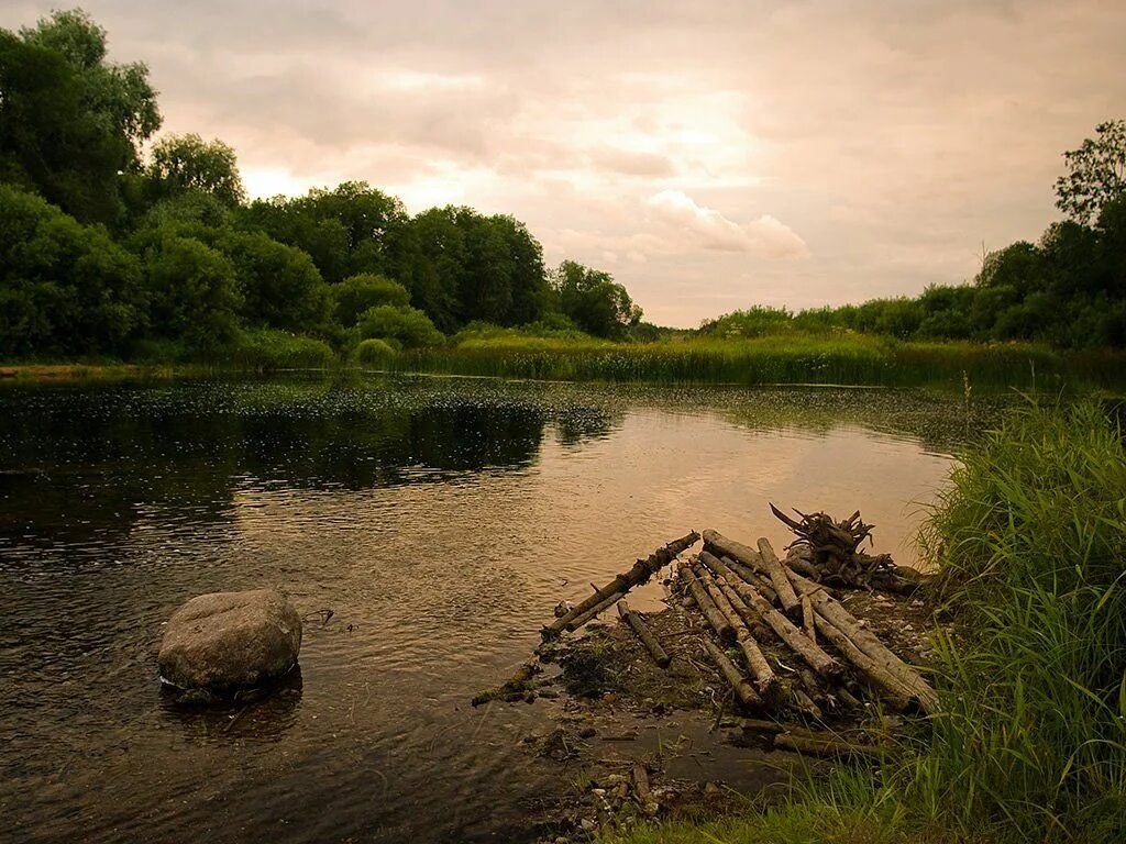 Река псковской области фото Река Черёха (Вид на запад) Река, Вид, Фотографии