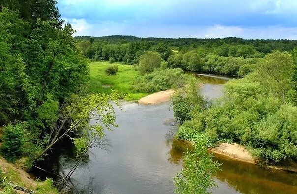 Река псковской области фото The Great River - the main "water artery" The Pskov region flows through many la