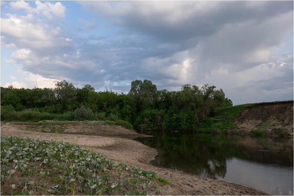 Река пьяна нижегородская область фото Река Пьяна "Фото Горький"