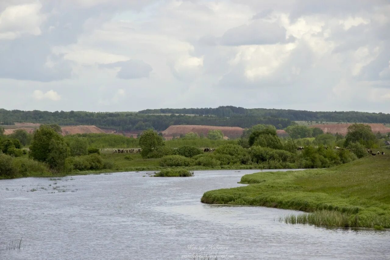 Река пьяна нижегородская область фото Пришла пора собрать в один пост речки-речушки Нижегородской области: nnikolaevna