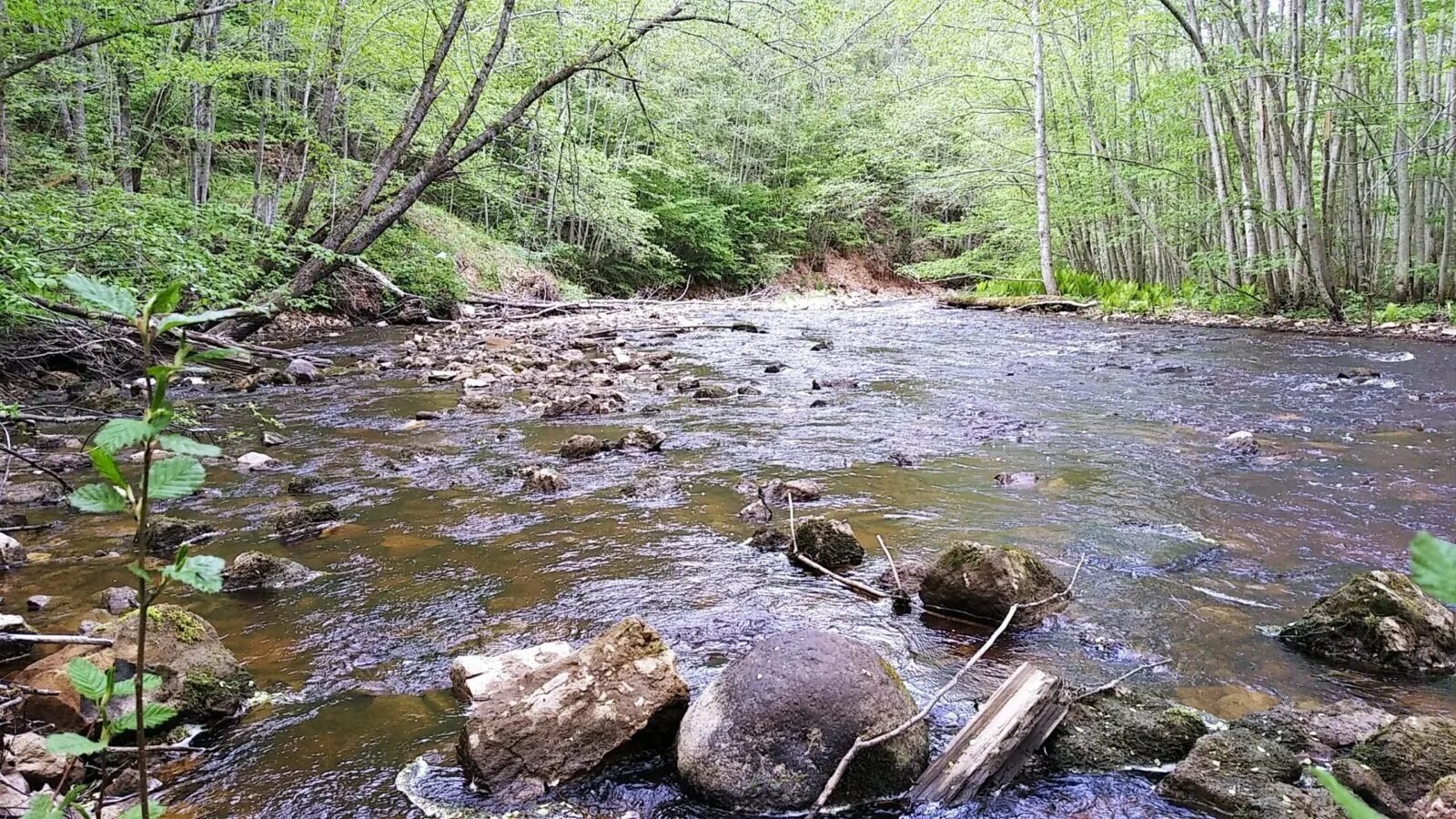 Река рагуша фото Каньон реки рагуша - фото - Поездки, туризм и путешествия по России и миру