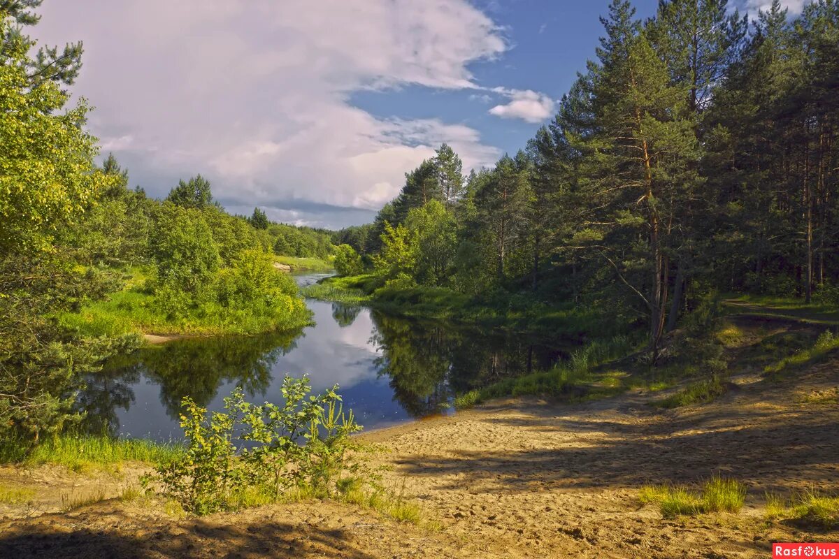 Река река фото поселка Фото: На берегу июньской реки. Фотограф Анатолий Максимов. Пейзаж. Фотосайт Расф