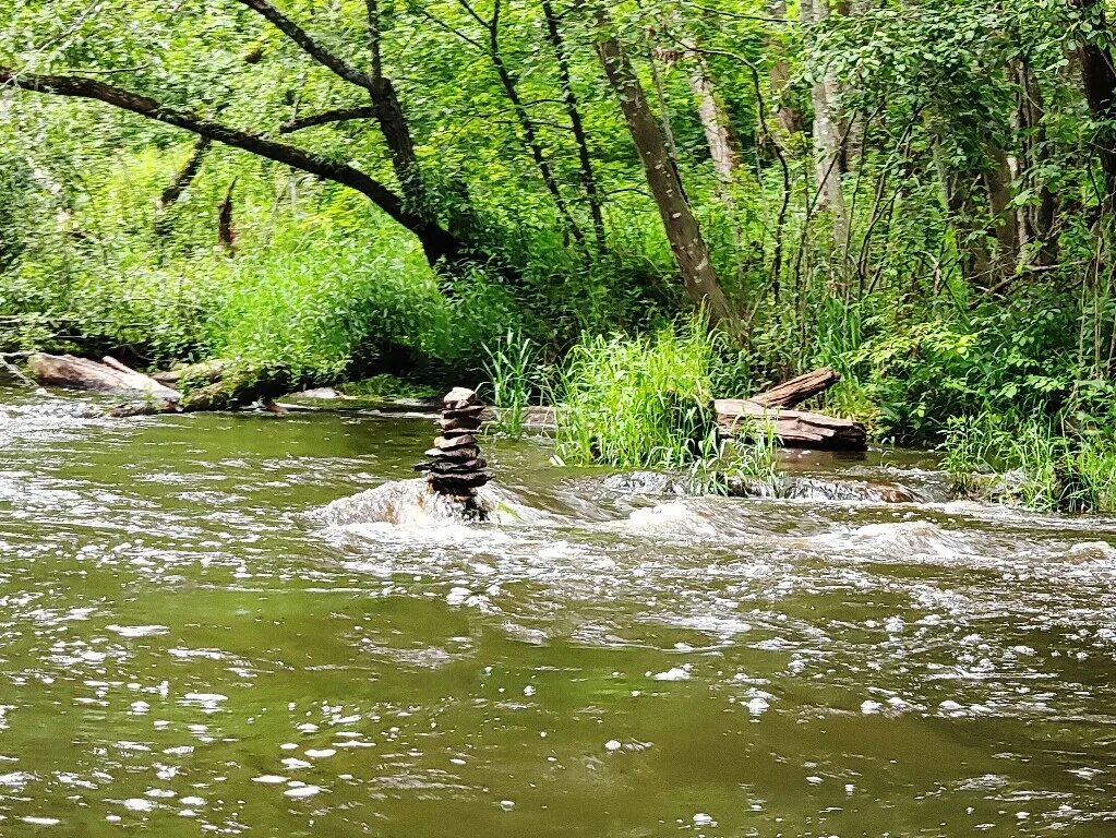 Река ресса фото Водный поход в июньские праздники по рекам Пополта, Ресса и Угра мои дороги Дзен