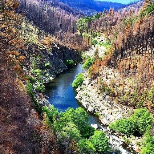 Река рубикон фото Hiking through King Fire Burn Zone El Dorado County - El dorado county, Hiking, 