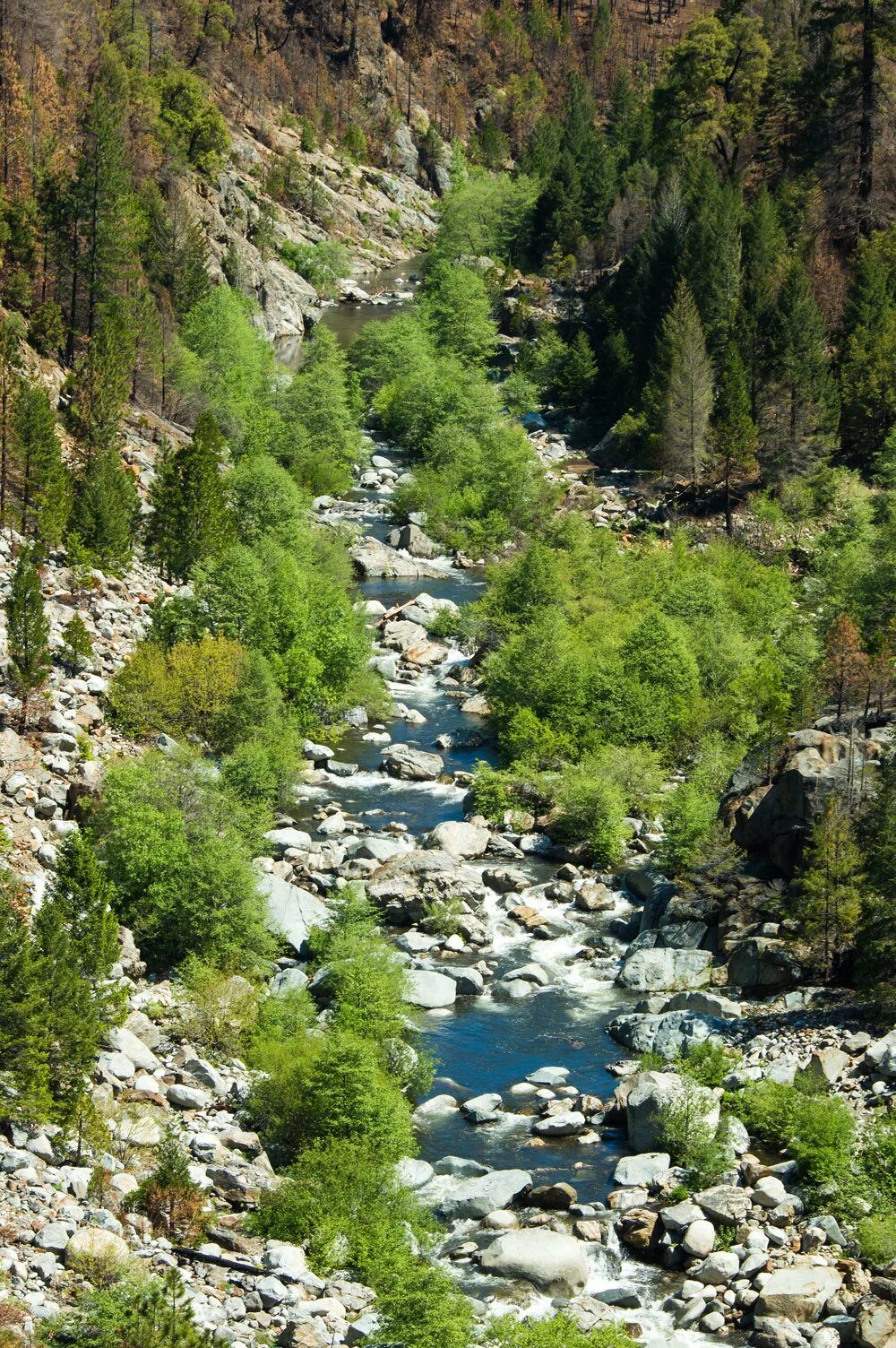 Река рубикон фото Рубикон река фото YugNash.ru