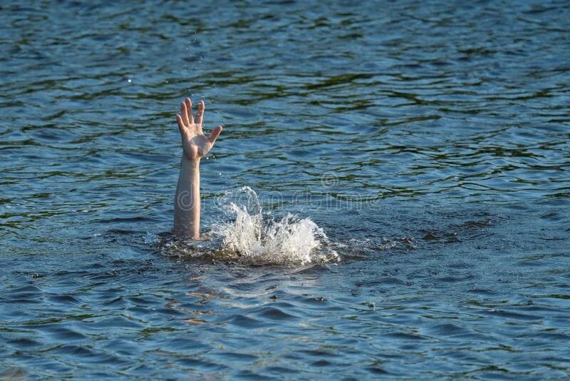 Река рука фото A Man`s Hand Above the Surface of the Water in the River, Saving Drowning Stock 