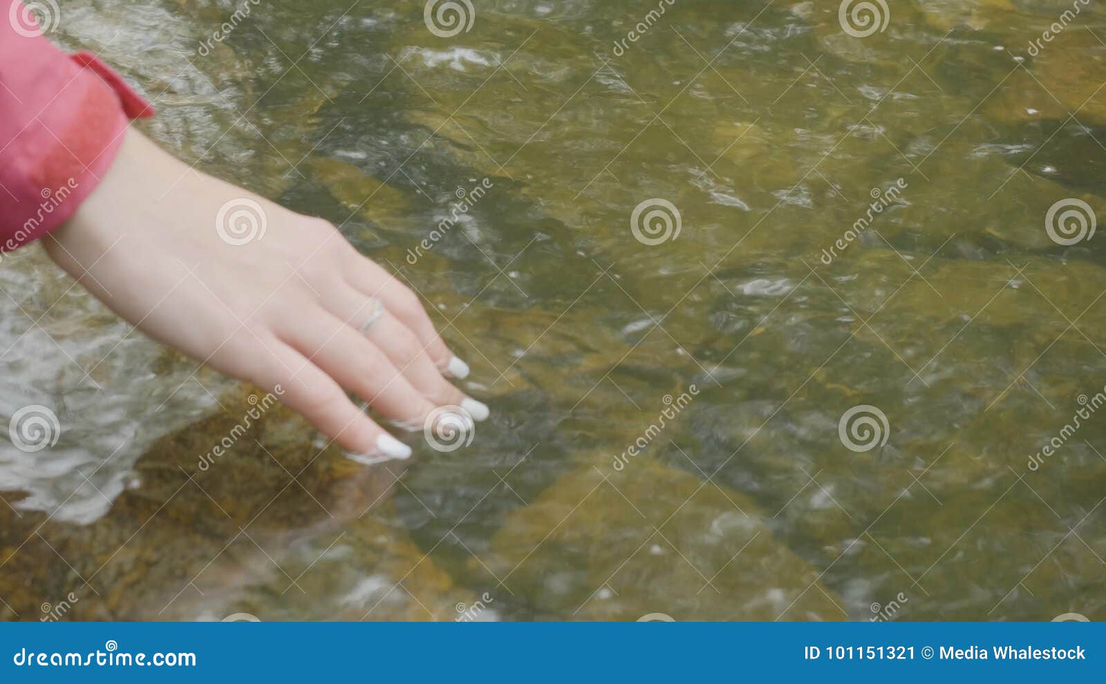 Река рука фото Young Woman Touching the Water of the River in the Forest. Young Tourist Touches