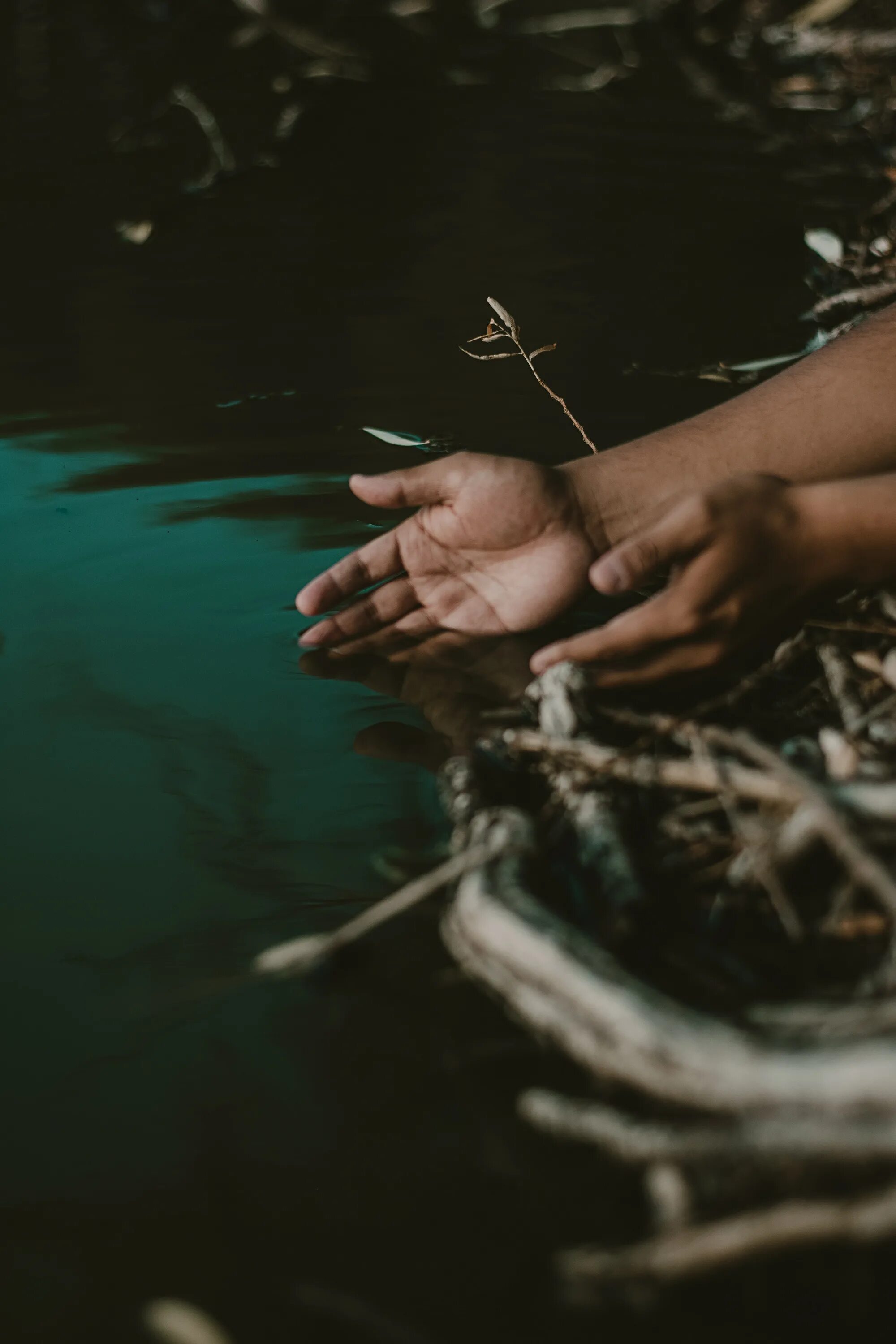 Река рука фото Free Images : water, hand, river, tree, photography, finger, recreation, reflect