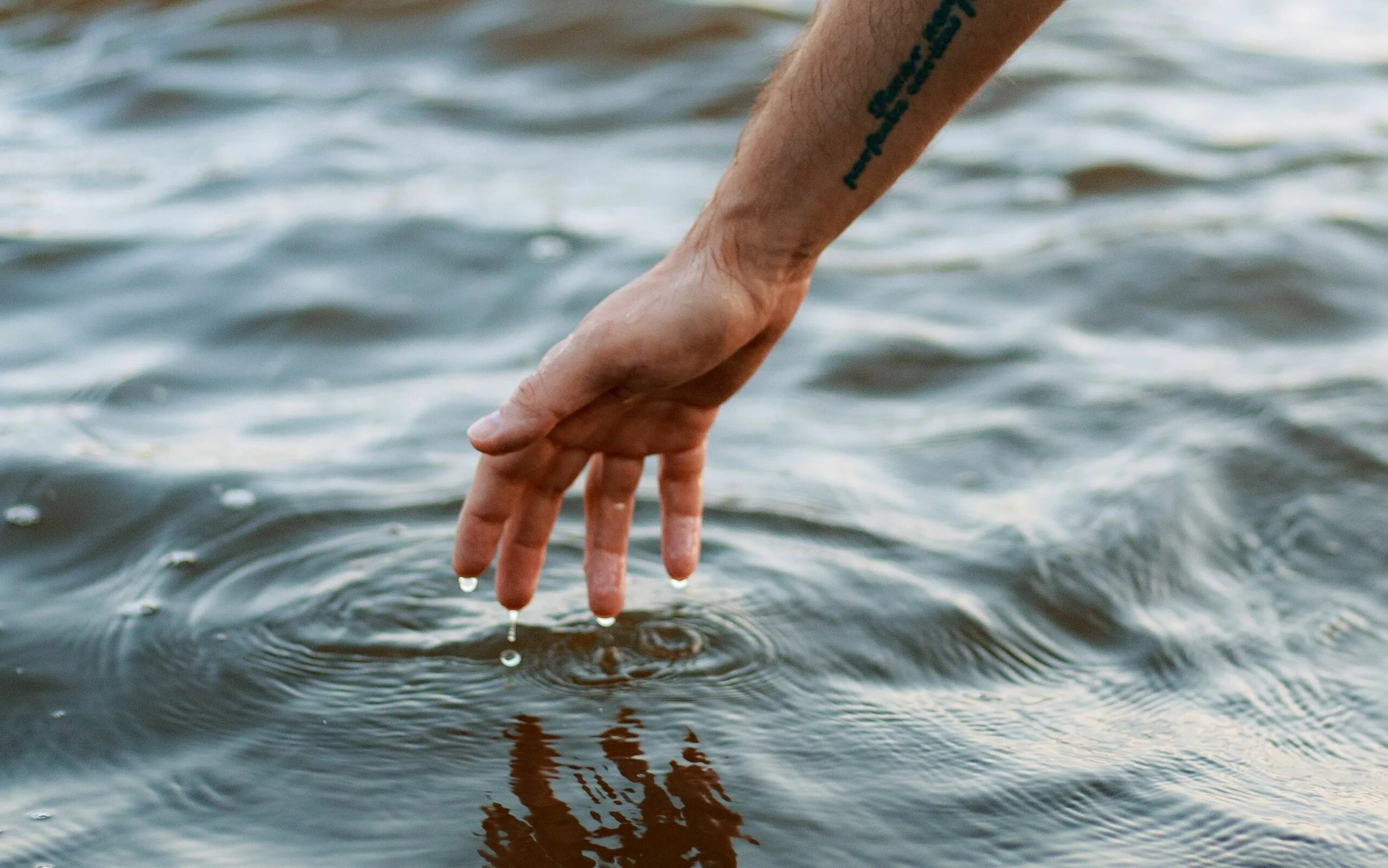 Река рука фото Download wallpaper 2560x1600 hand, drops, tattoo, water, ripples widescreen 16:1