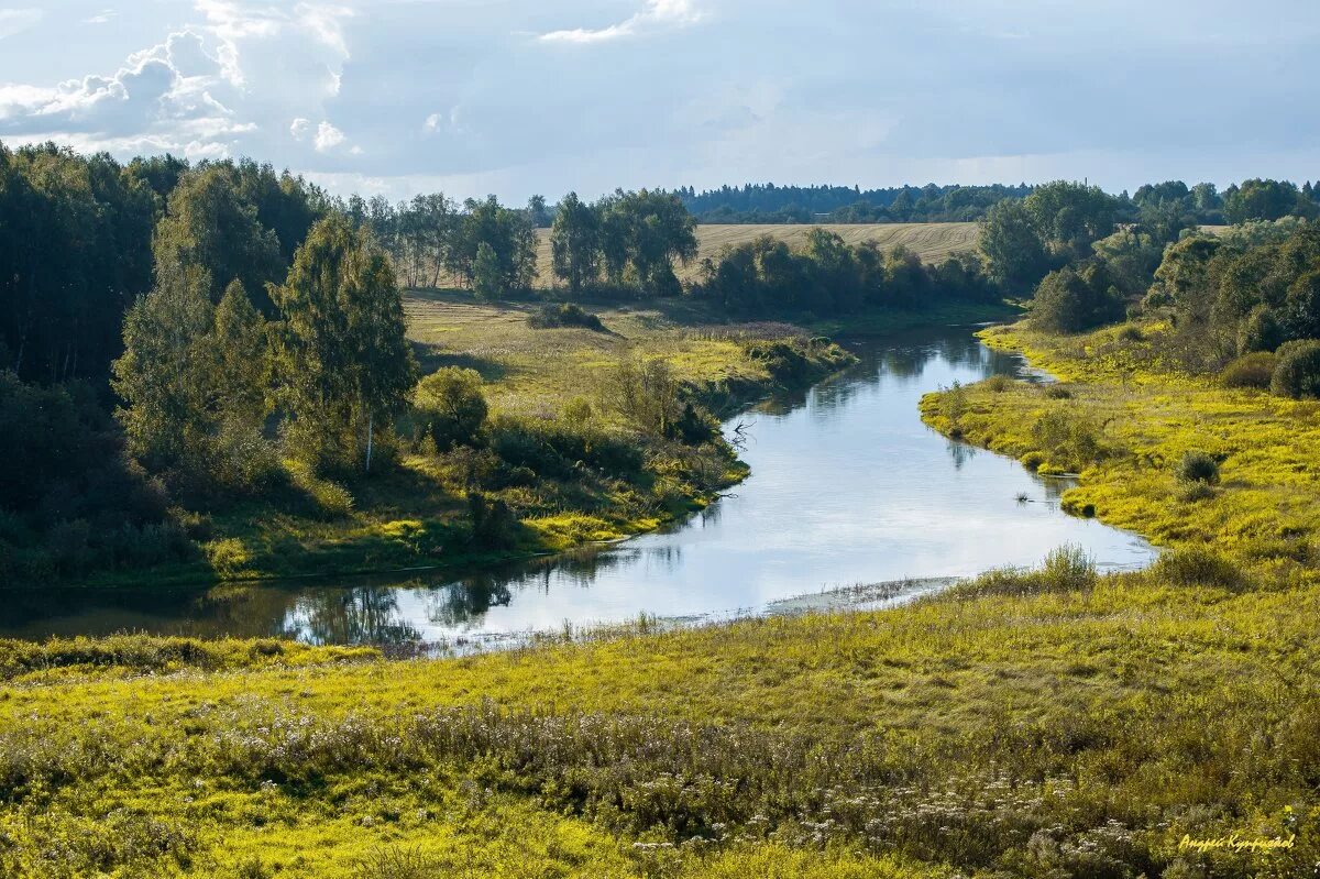 Река руза фото река Руза осенью :: Андрей Куприянов - Социальная сеть ФотоКто