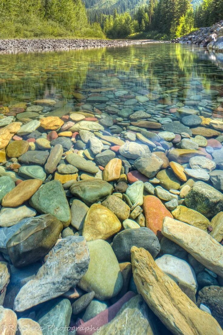 Река с камушками фото The Colored Pebbles of Lake McDonald Pebble shore lake, Lake mcdonald, Lake