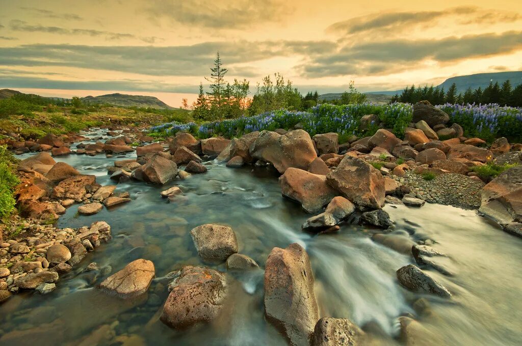 Река с камушками фото A quiet place This is a small water stream I found while d. Flickr