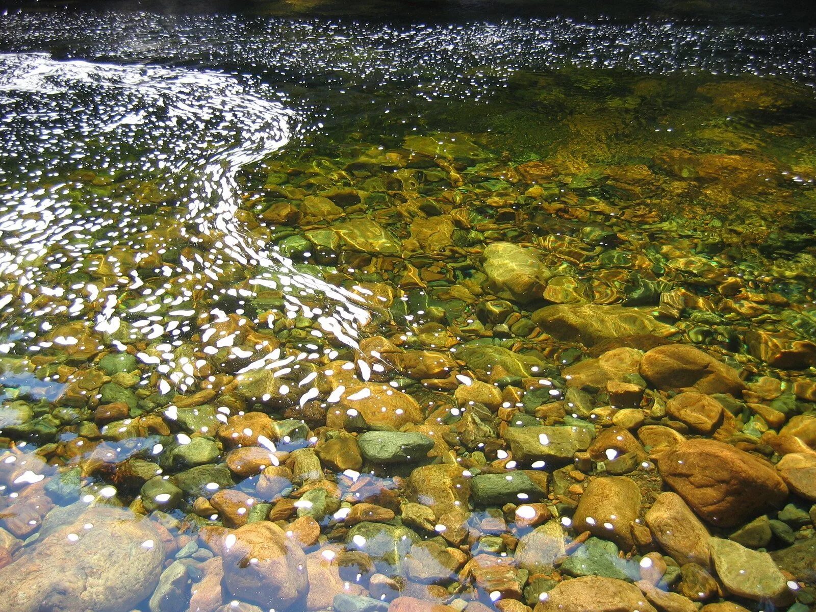 Река с камушками фото water.river Бесплатная загрузка фотографий FreeImages