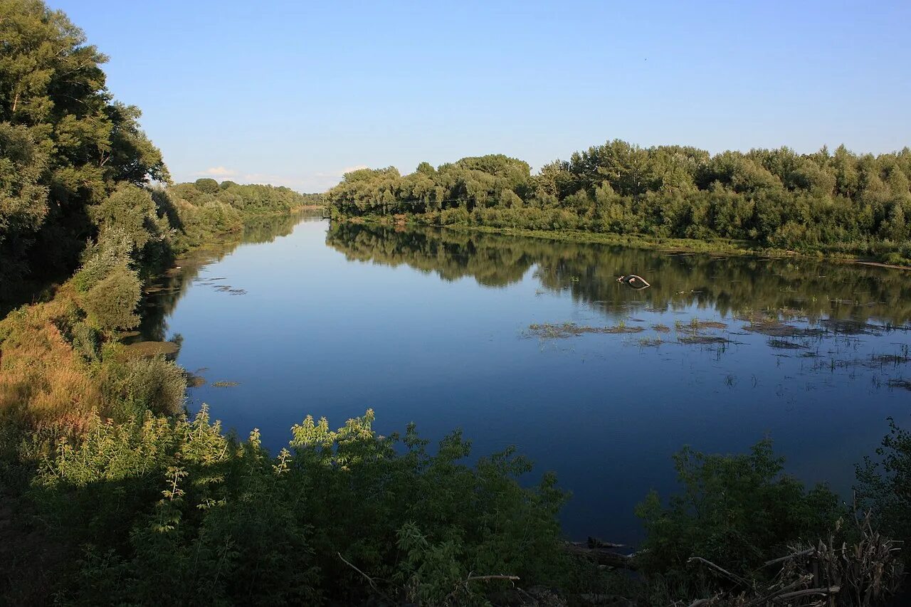 Река сакмара фото Файл:Река Сакмара - panoramio (4).jpg - Википедия