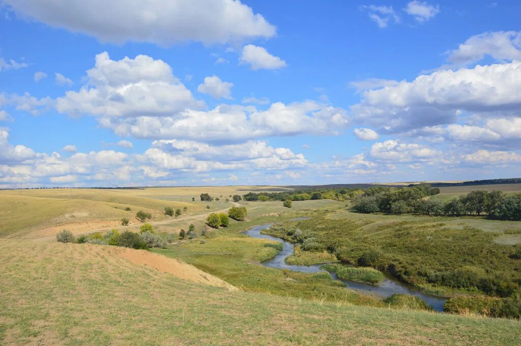 Река сал фото Река Кулечиха