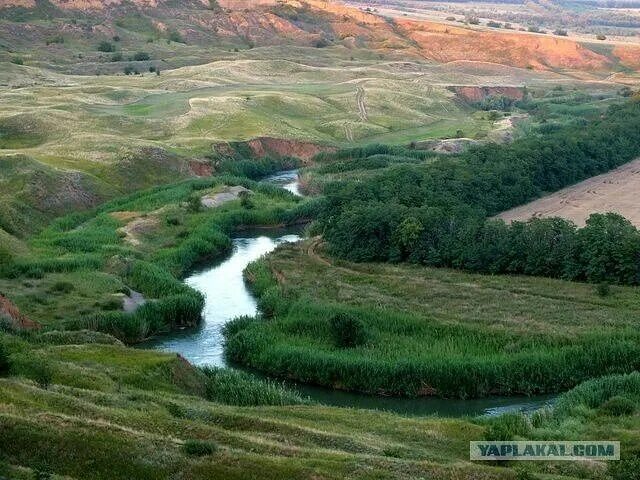 Река сал фото Лента