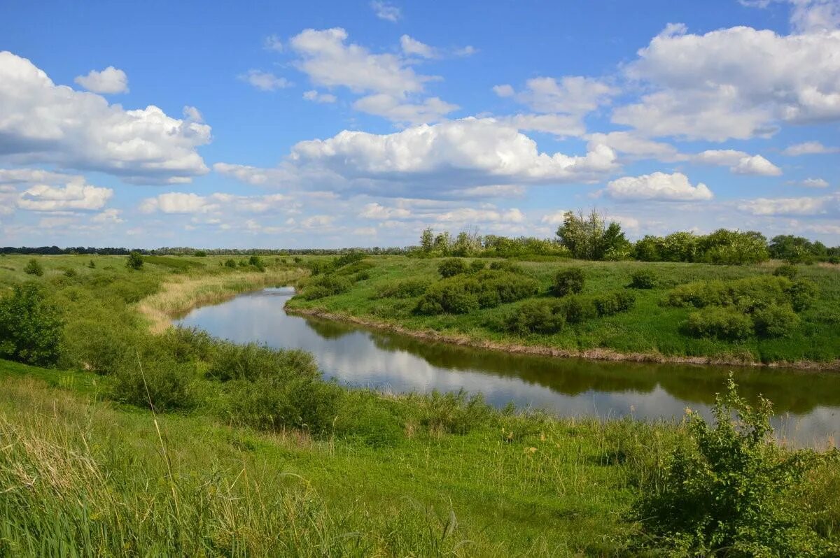 Река сал фото Межпоселенческая центральная библиотека Новинки краеведческой литературы