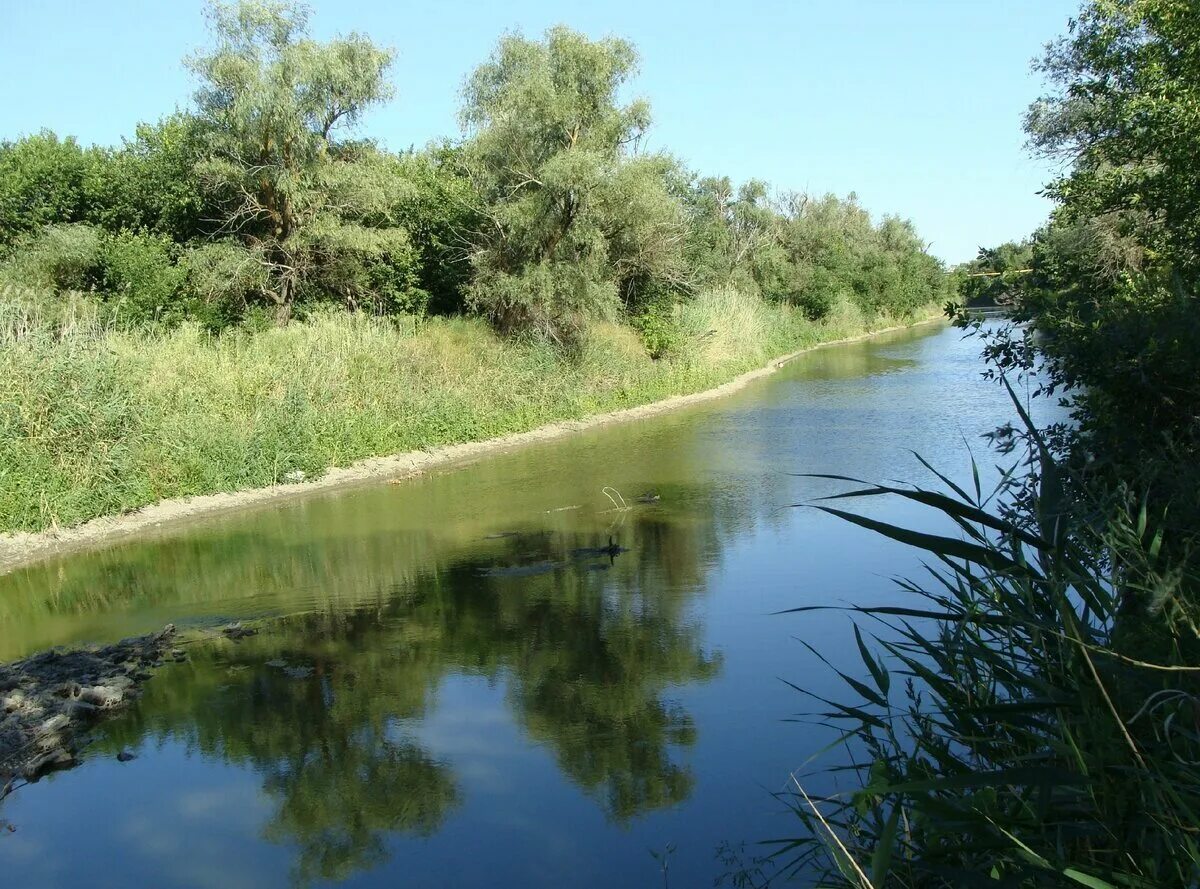 Река сал фото Картинки МАЛАЯ ОРЛОВКА РОСТОВСКАЯ ОБЛАСТЬ МАРТЫНОВСКИЙ