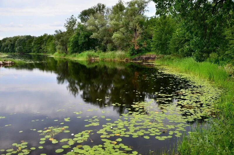 Река савала фото Река Савала (64 фото)