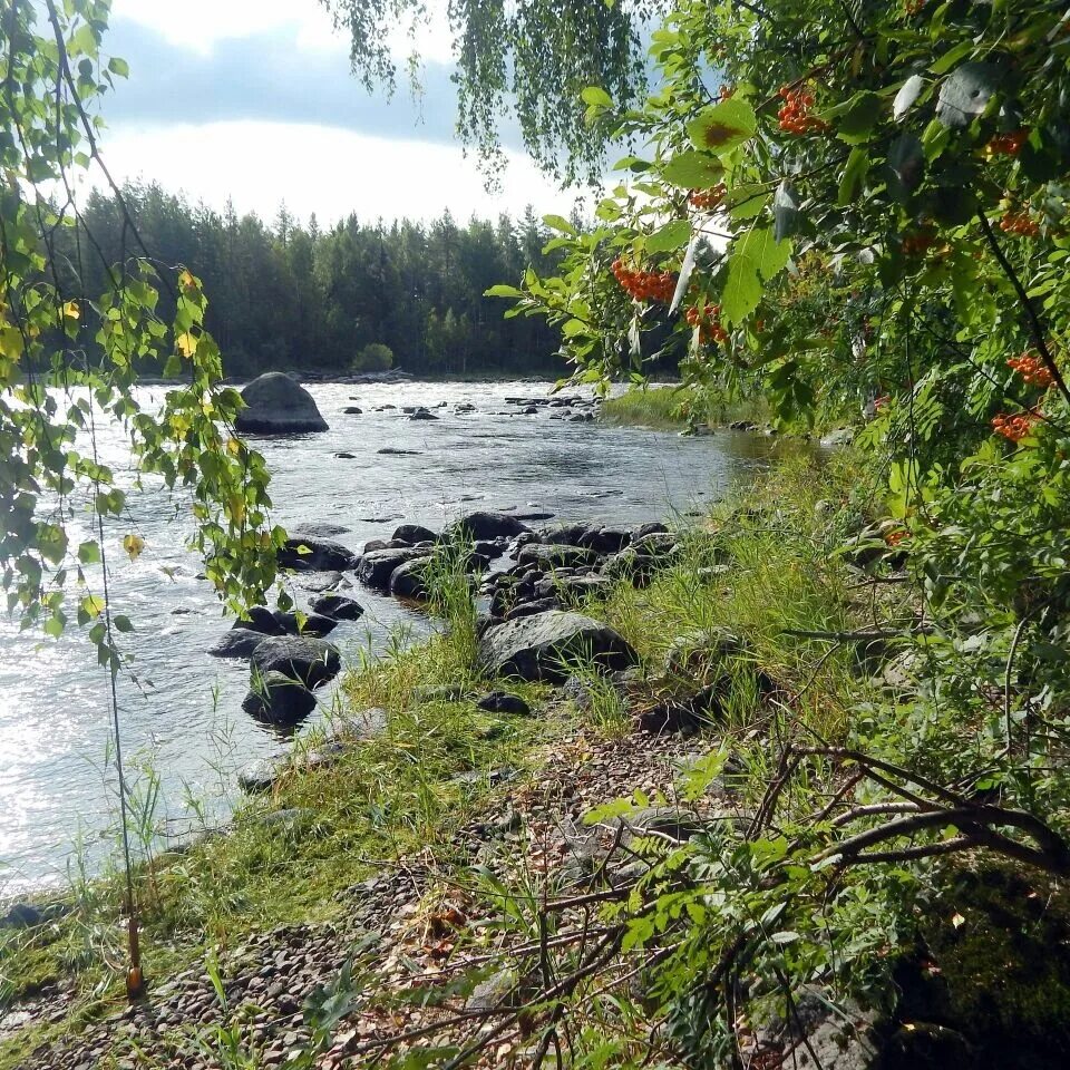 Река сегежа фото Новости с водоемов - Питерский Клуб Рыбаков