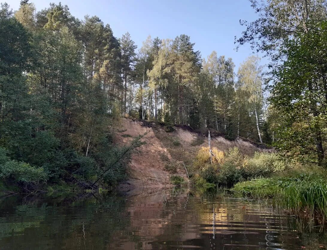 Река сережа фото Река Серёжа (приток реки Кунья) - карта где находится, рыбалка и сплав, куда впа