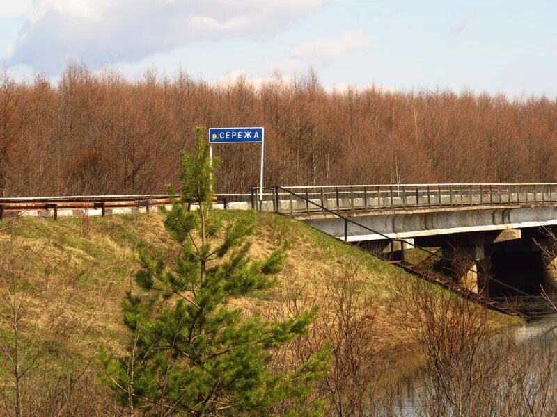 Река сережа фото БАЙДАРОЧНЫЙ ПОХОД. РЕКИ СЕРЁЖА-ТЁША. НАЧАЛО. - Не совсем обычные жители города М