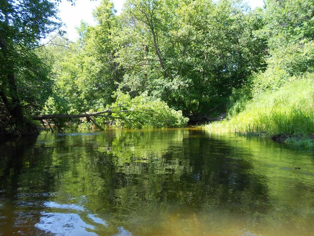 Река сережа фото р Серёжа(Нижегородская) Tripmir