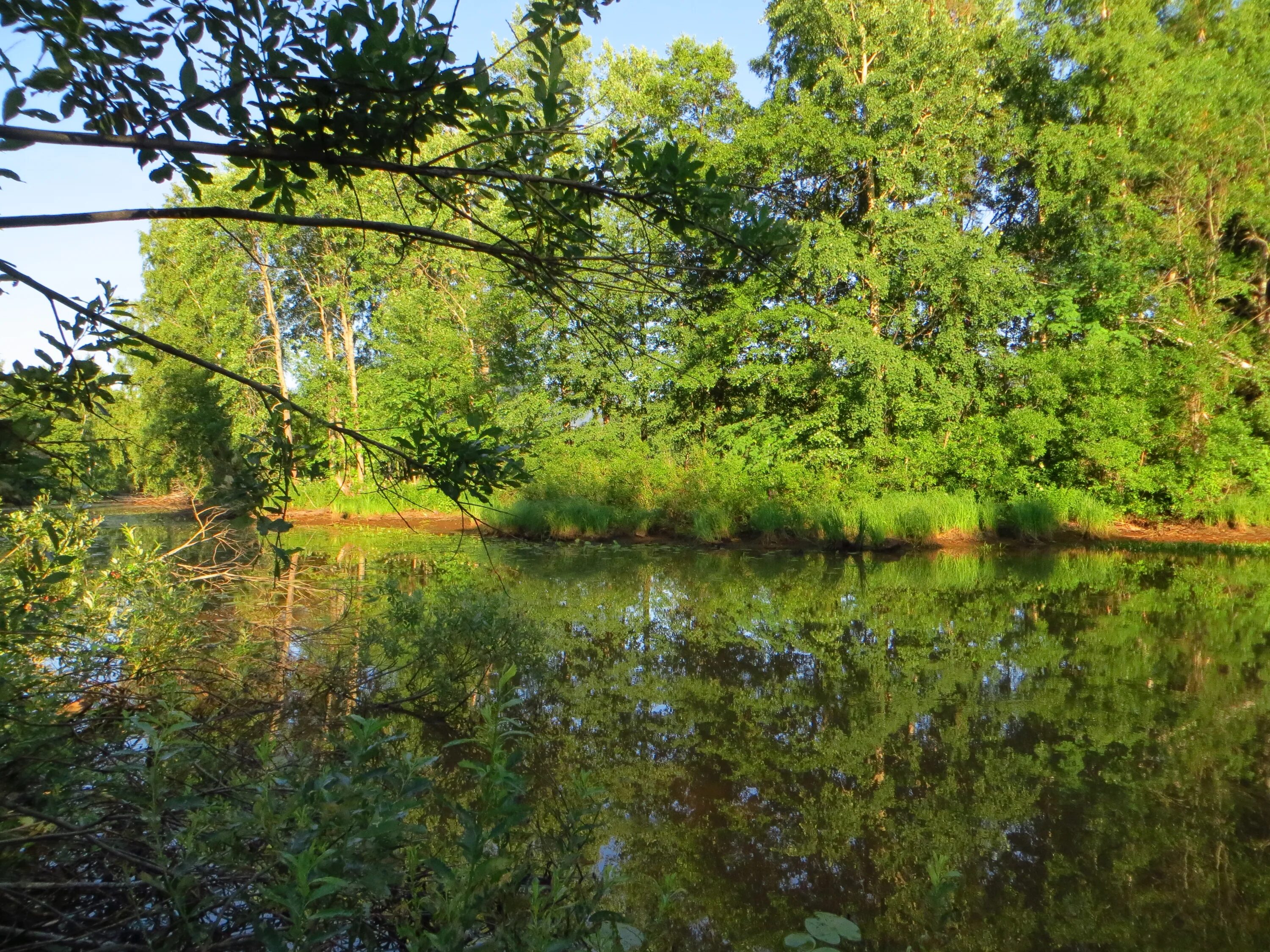 Река сестра фото Фотографии Санкт-Петербург: Сестра Малая, река (Сестрорецк), Санкт-Петербург - G