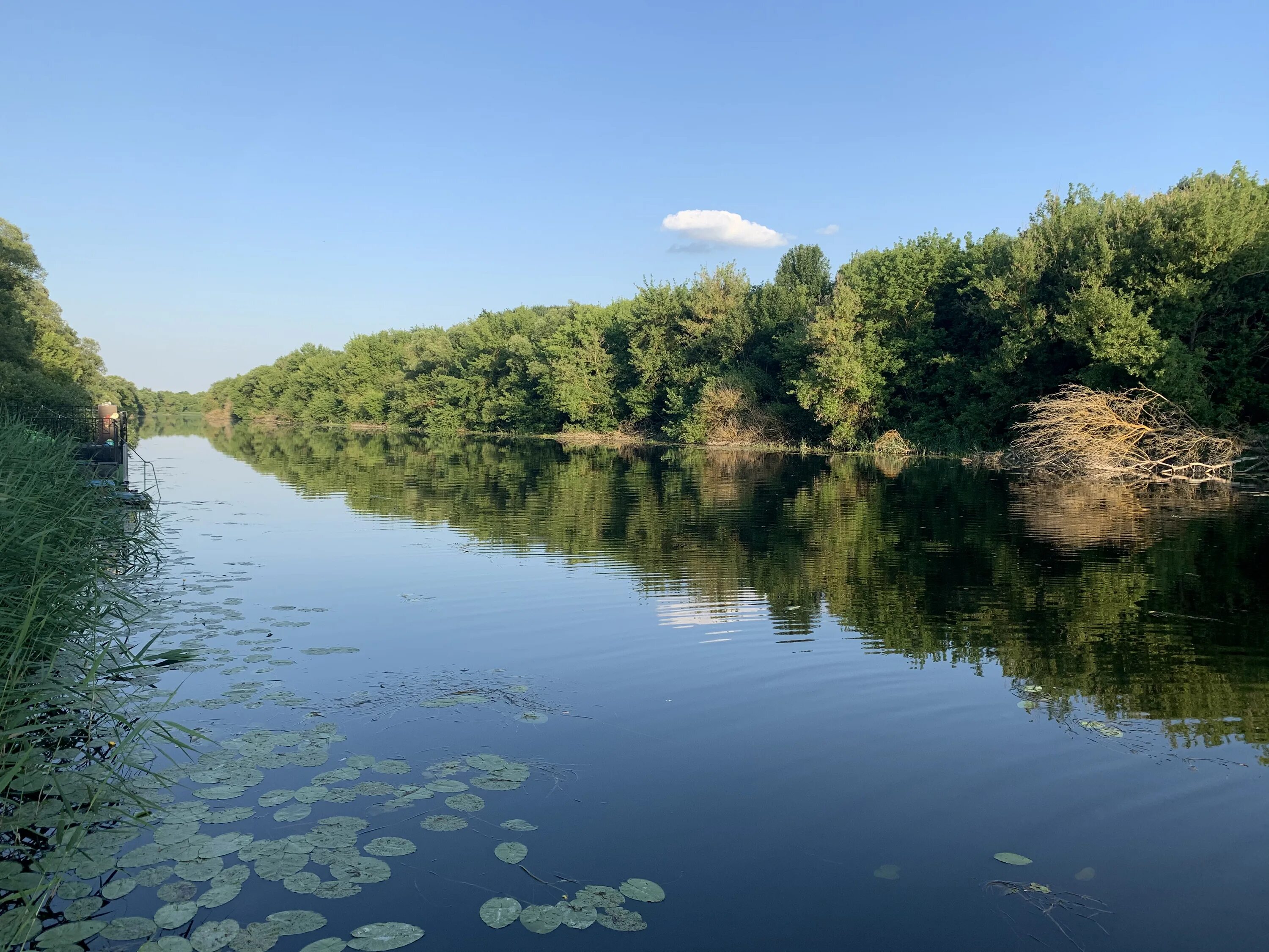 Река сейм фото курская область File:Бесединский район село Кувшинное,река Сейм.jpg - Wikimedia Commons