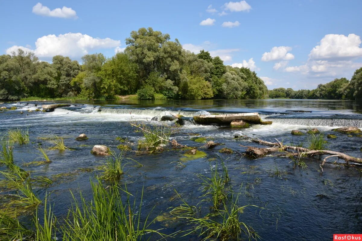 Река сейм фото курская область Фото: Река Сейм.... Фотограф путешественник Андрей Rockster. Пейзаж. Фотосайт Ра