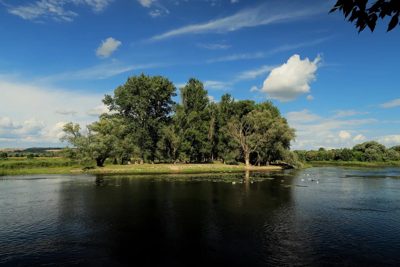 Река сейм фото курская область фото