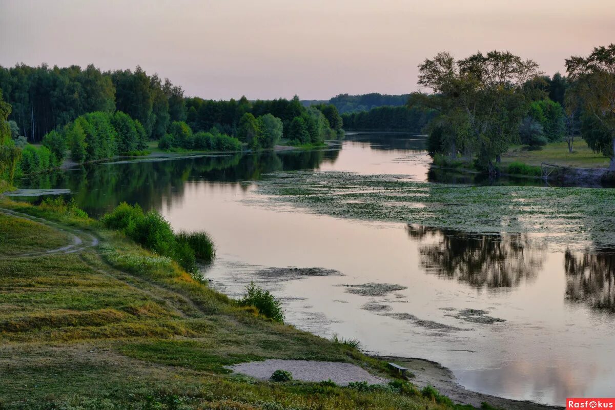 Река сейм фото курская область Реки курской области фото YugNash.ru