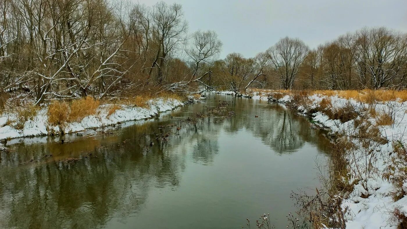 Река сходня фото река Сходня в Тушине / река Сходня в Тушине