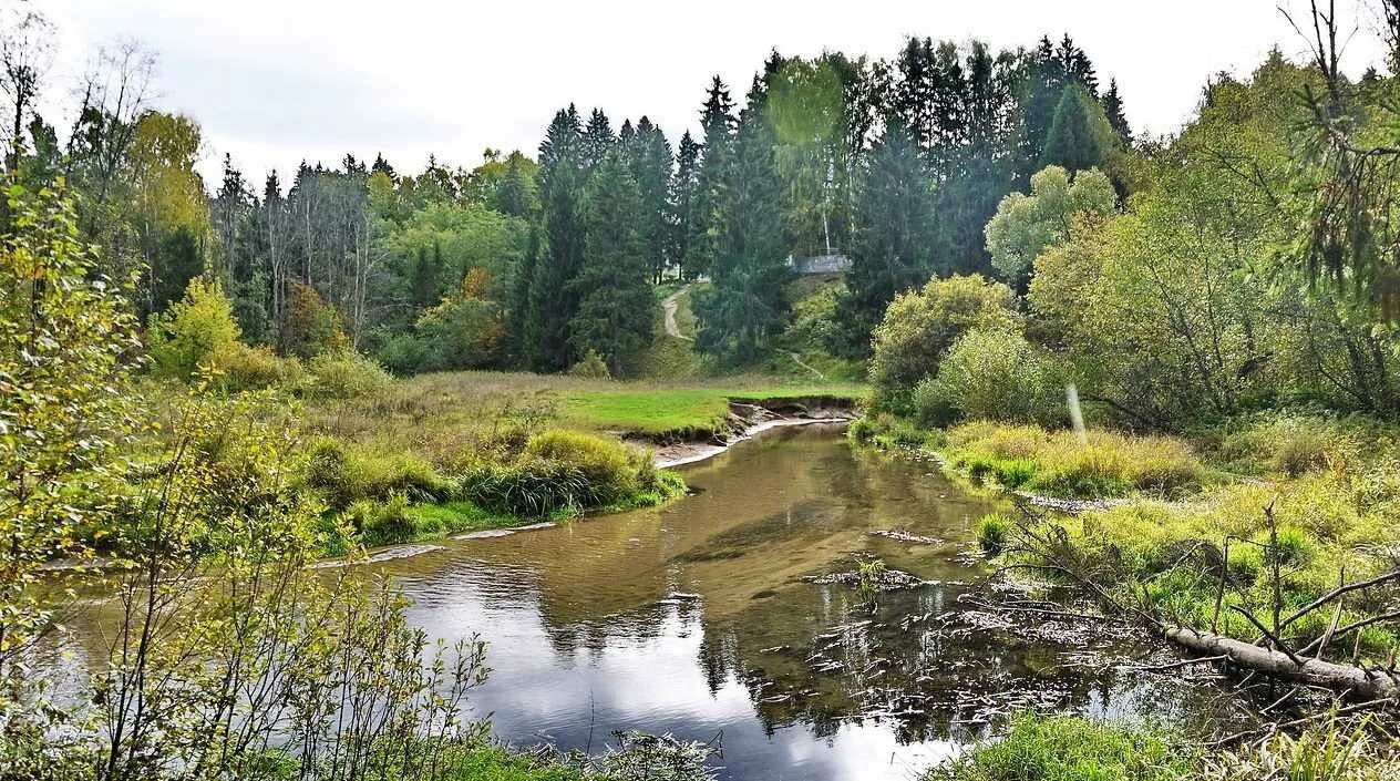 Река сходня фото Река Сходня: описание, карта, сплав и рыбалка