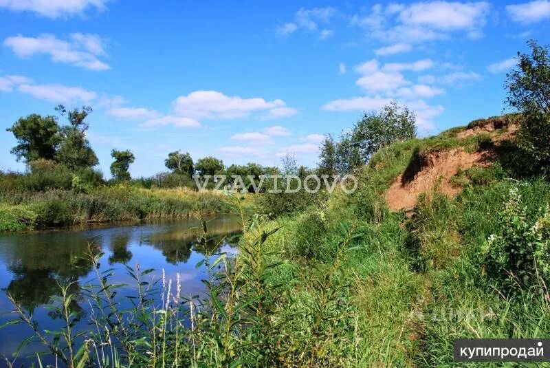 Река шоша фото Участок, 30 сот. Тверская область, Конаковский район, Курьяново деревня в Твери