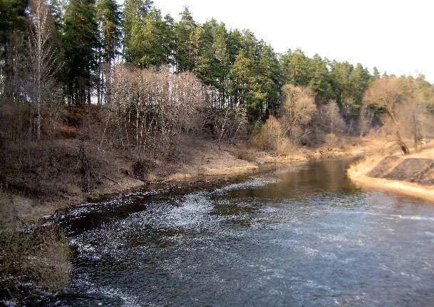 Река шоша фото Река Шоша - рыбалка, подводная охота