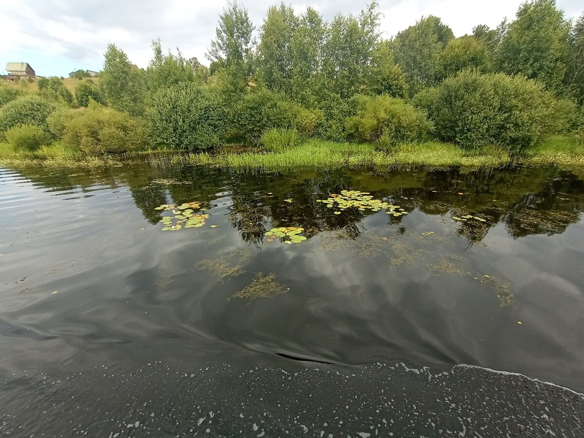 Река Сить (Вологодская область)