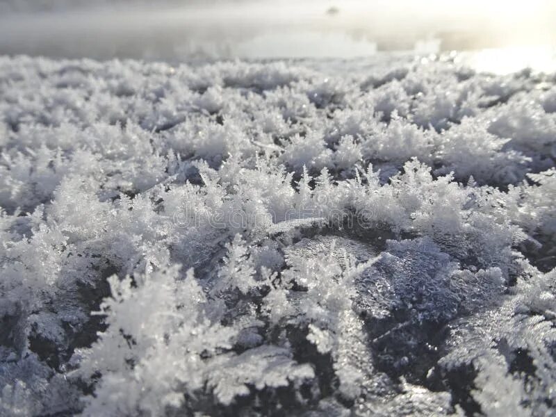 Скачать обои зима, лес, снег, деревья, снежинки, nature, winter, snow, раздел пр