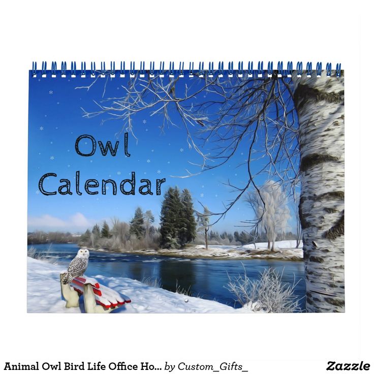 Река снежинка углегорский район фото Animal Owl Bird Life Office Home Destiny'S Destiny Calendar Owl bird, Animals, N