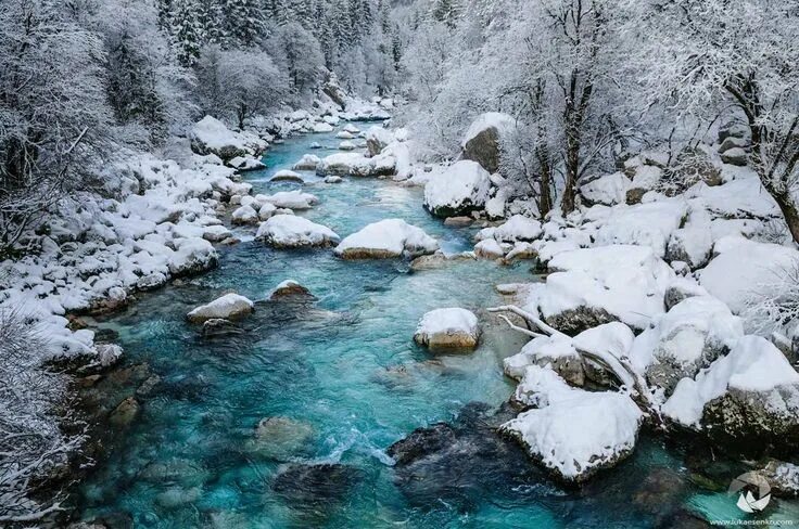 Река снежная фото Admiring Soca, the most beautiful river in Slovenia Winter landscape, Beautiful 