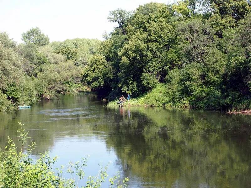 Река сок фото Реки Оренбургской области Марийские Лесоходы